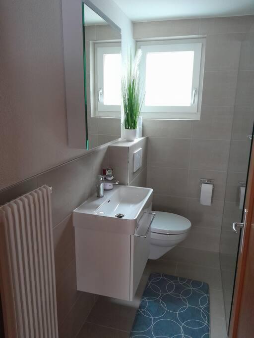 2 1/2 Zimmer Ferienwohnung Meiringen Exterior photo