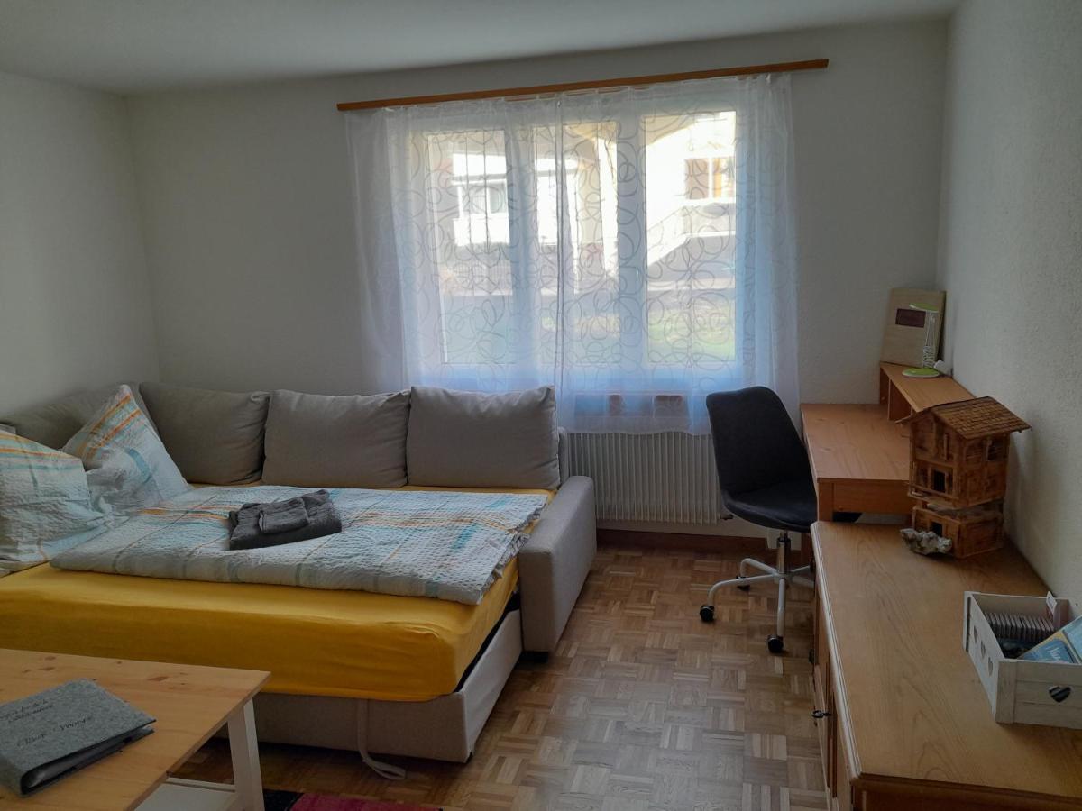 2 1/2 Zimmer Ferienwohnung Meiringen Exterior photo